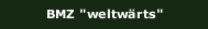 BMZ "weltwärts"